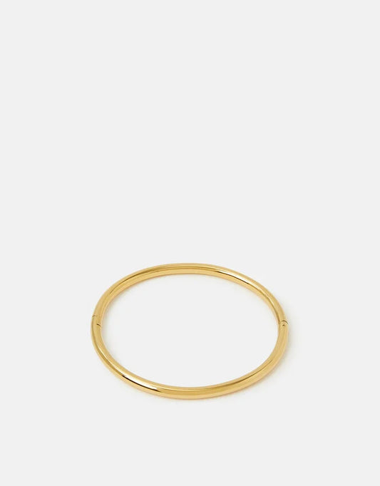 Stainless Steel Clasp Bangle