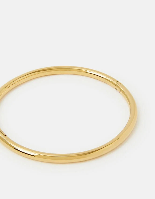 Stainless Steel Clasp Bangle